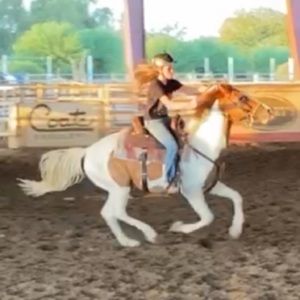 Meet your Posher, Elly